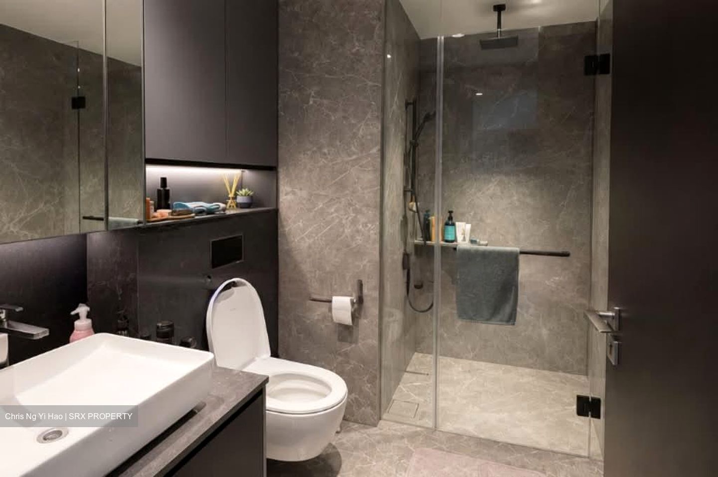 Irwell Hill Residences (D9), Apartment #569934661